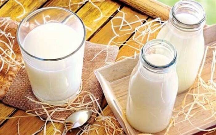 شیر داغ